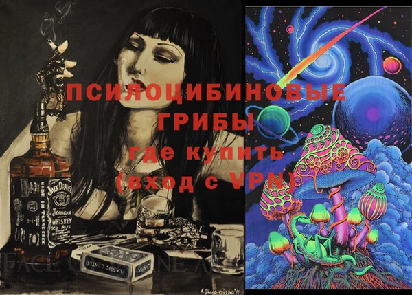 СК Мегион